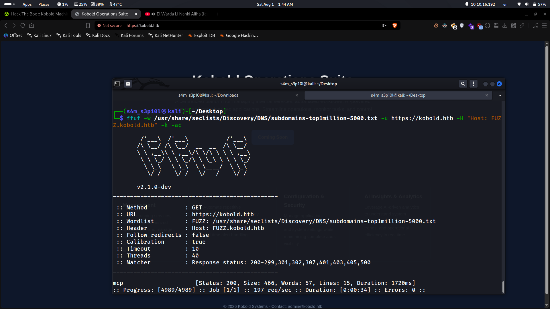 Subdomain Discovery